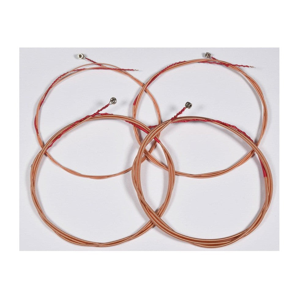 Acoustic Bass String Set 40-95