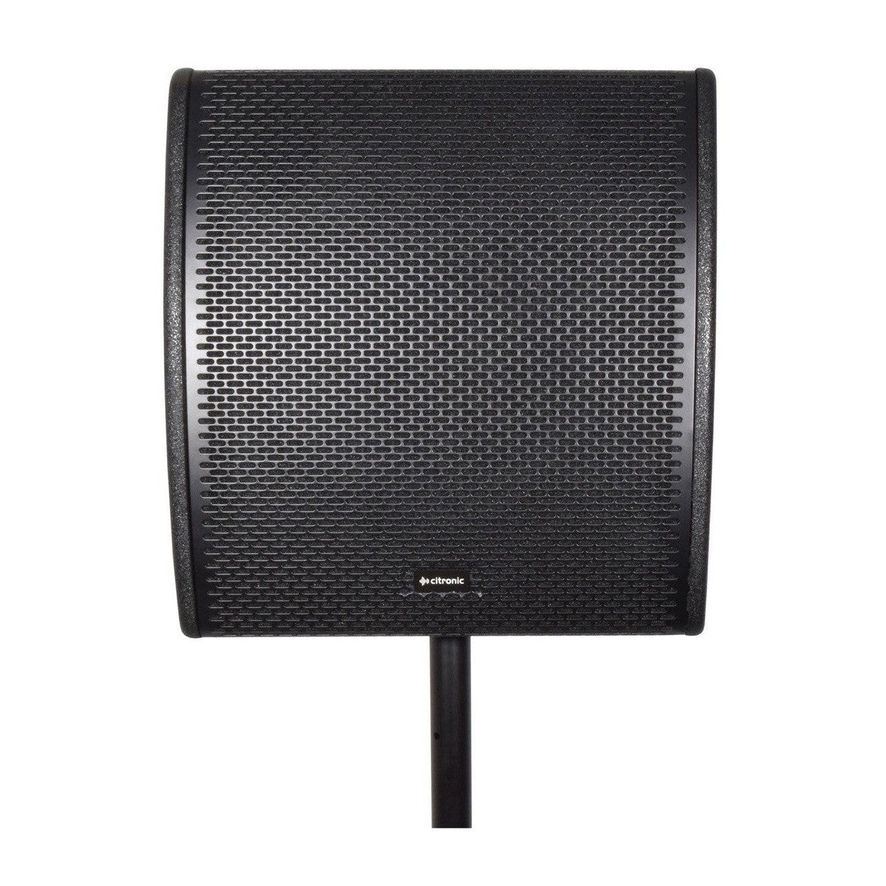 CM12 Passive Wedge Speaker 300Wrms