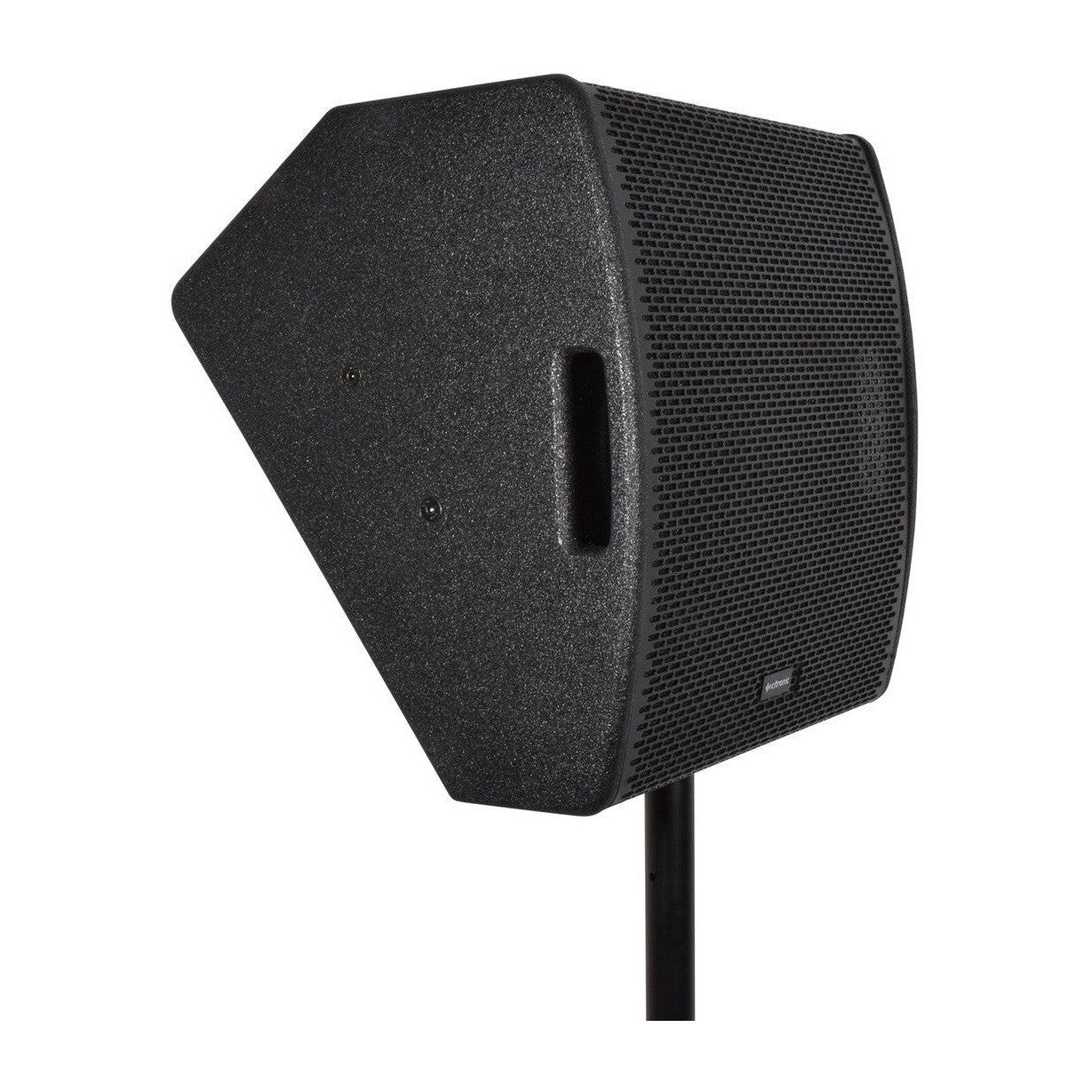 CM12 Passive Wedge Speaker 300Wrms