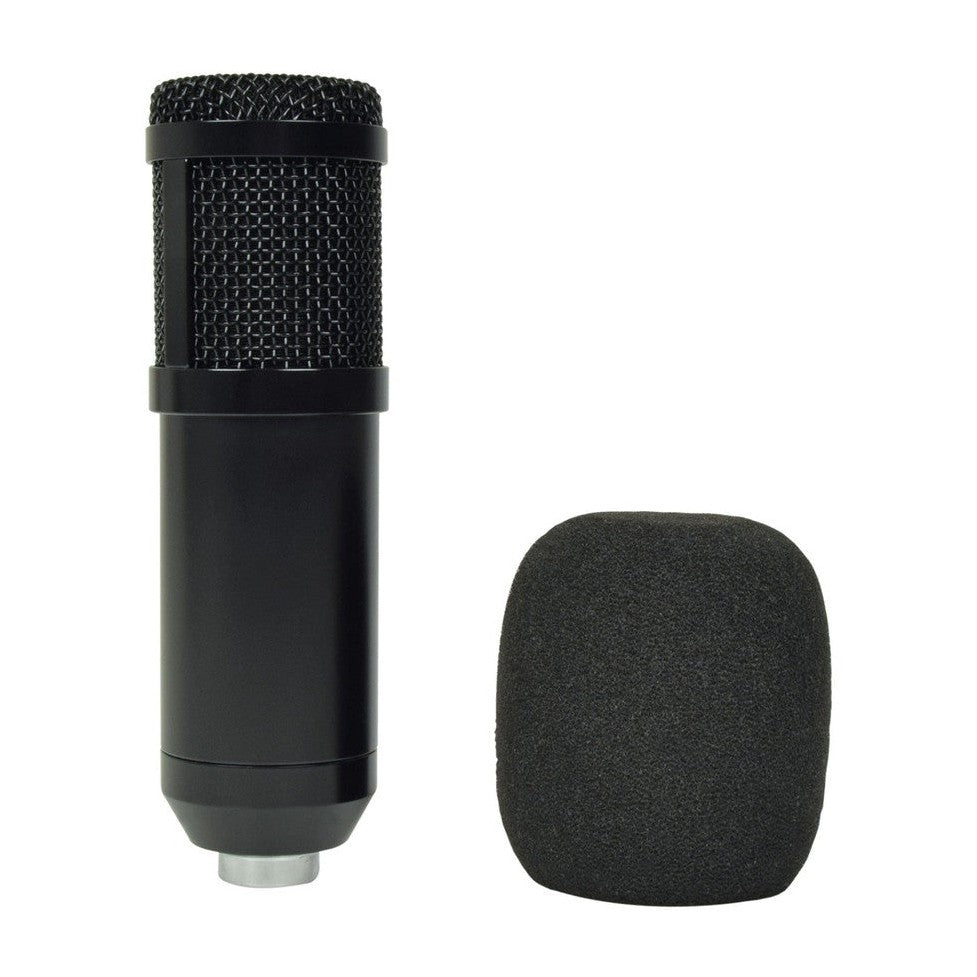 Studio Microphone Kit